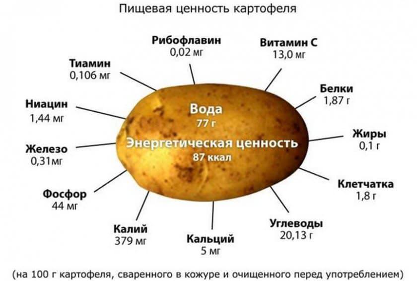 Питательная ценность картофеля